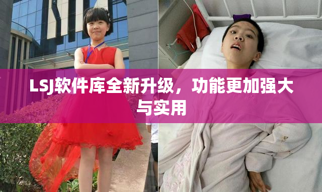 LSJ软件库全新升级，功能更加强大与实用
