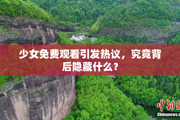 少女免费观看引发热议，究竟背后隐藏什么？