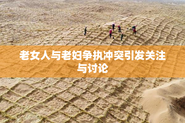 老女人与老妇争执冲突引发关注与讨论