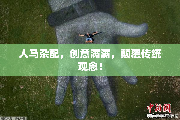 人马杂配，创意满满，颠覆传统观念！