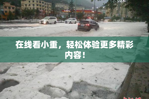 在线看小重，轻松体验更多精彩内容！