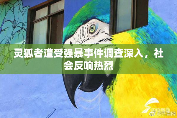 灵狐者遭受强暴事件调查深入，社会反响热烈