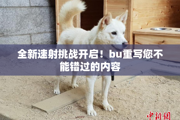 全新速射挑战开启！bu重写您不能错过的内容