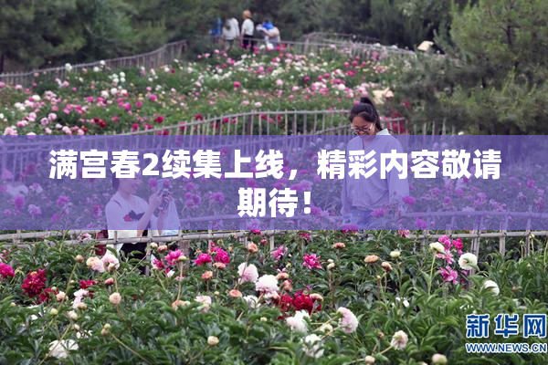 满宫春2续集上线，精彩内容敬请期待！