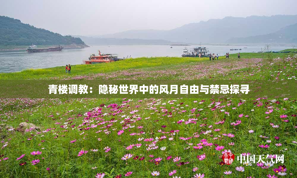 青楼调教：隐秘世界中的风月自由与禁忌探寻