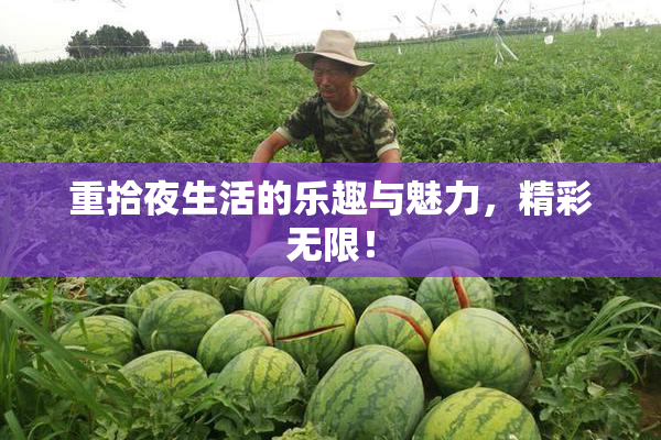 重拾夜生活的乐趣与魅力，精彩无限！