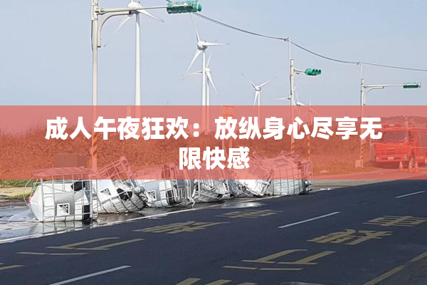 成人午夜狂欢：放纵身心尽享无限快感