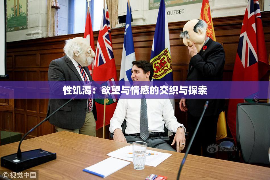 性饥渴：欲望与情感的交织与探索