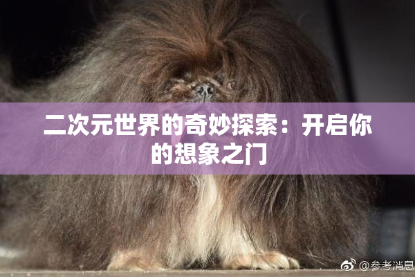 二次元世界的奇妙探索：开启你的想象之门