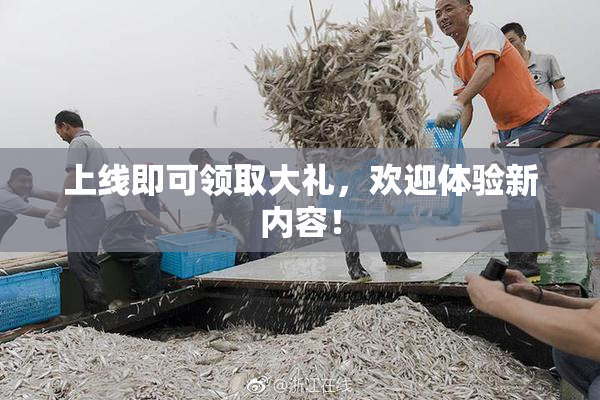 上线即可领取大礼，欢迎体验新内容！