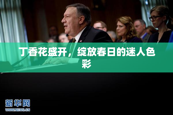 丁香花盛开，绽放春日的迷人色彩