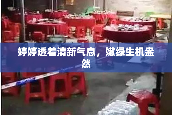 婷婷透着清新气息，嫩绿生机盎然