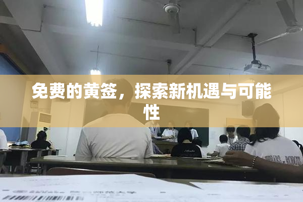 免费的黄签，探索新机遇与可能性