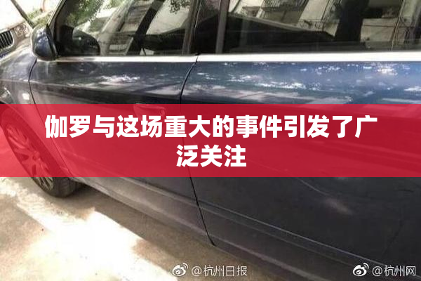 伽罗与这场重大的事件引发了广泛关注
