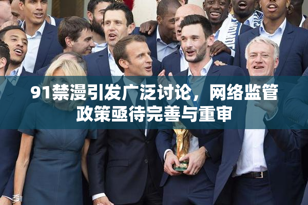 91禁漫引发广泛讨论，网络监管政策亟待完善与重审