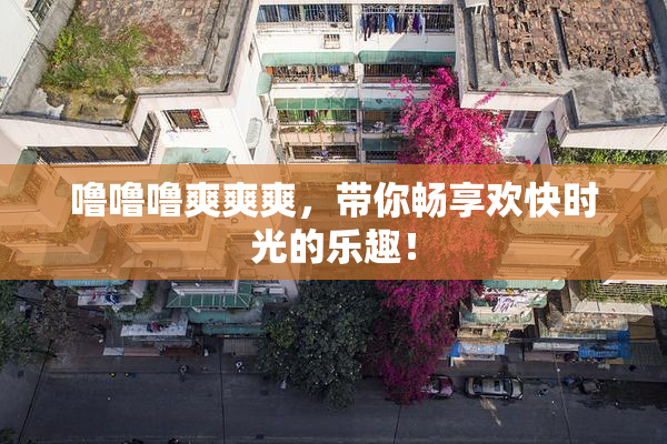 噜噜噜爽爽爽，带你畅享欢快时光的乐趣！