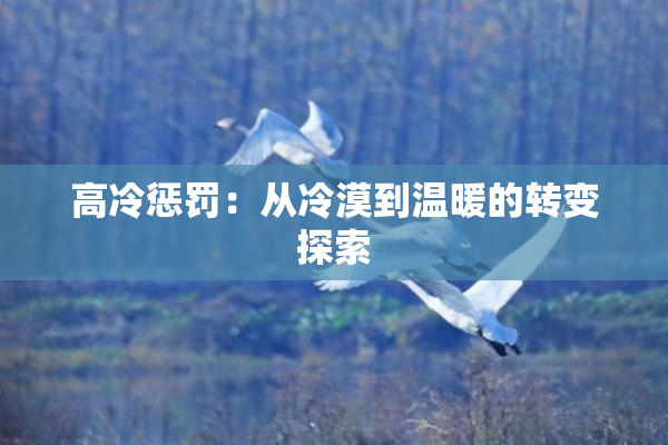 高冷惩罚：从冷漠到温暖的转变探索
