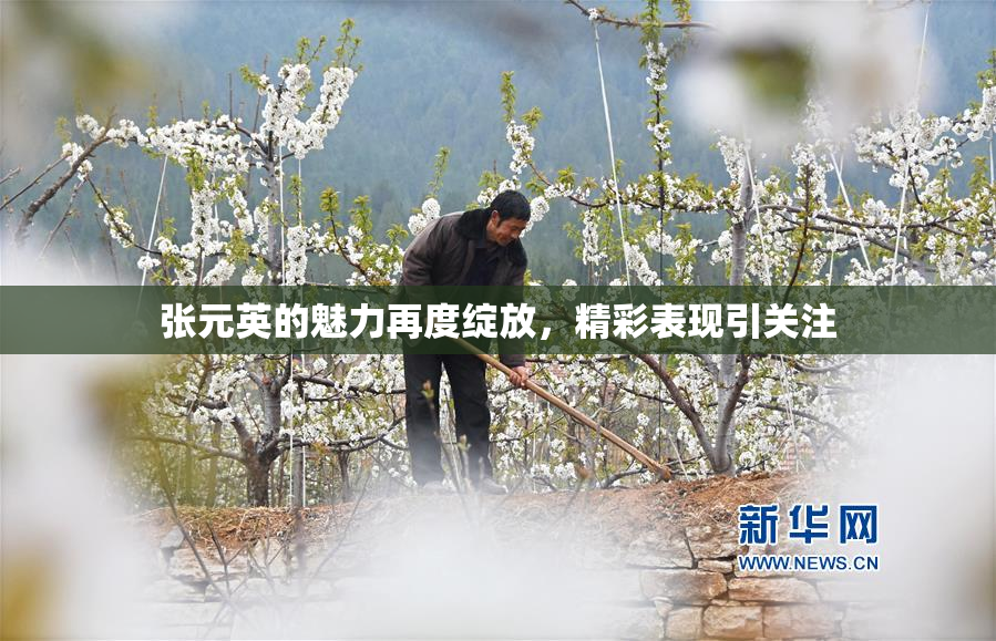 张元英的魅力再度绽放，精彩表现引关注