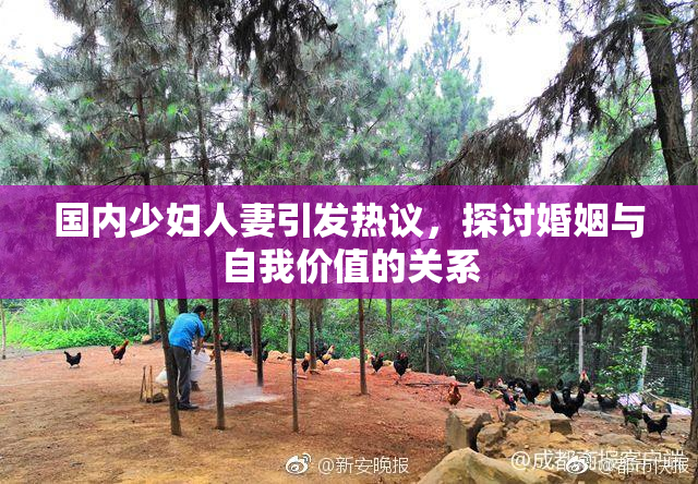 国内少妇人妻引发热议，探讨婚姻与自我价值的关系