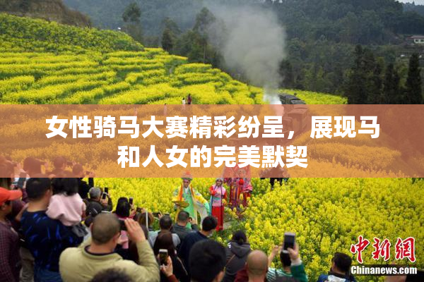 女性骑马大赛精彩纷呈，展现马和人女的完美默契