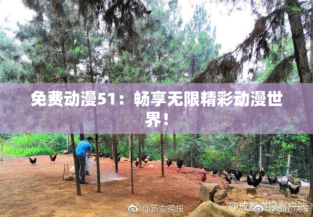 免费动漫51：畅享无限精彩动漫世界！