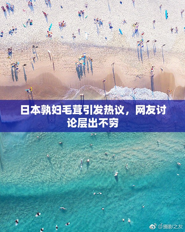 日本孰妇毛茸引发热议，网友讨论层出不穷