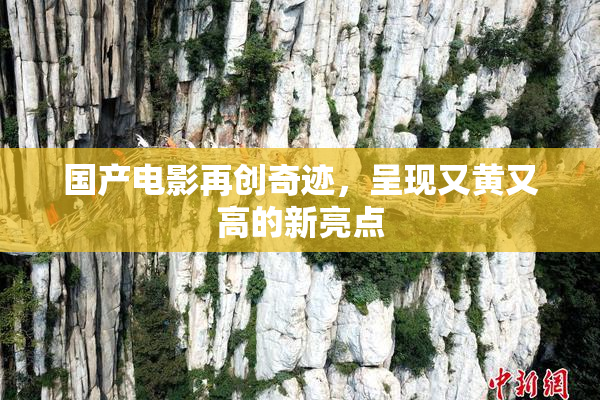 国产电影再创奇迹，呈现又黄又高的新亮点