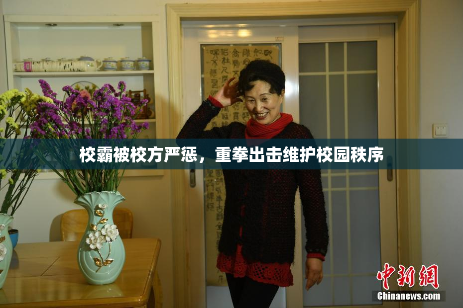 校霸被校方严惩，重拳出击维护校园秩序
