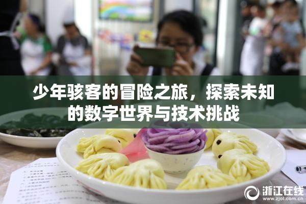 少年骇客的冒险之旅，探索未知的数字世界与技术挑战
