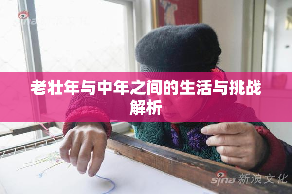 老壮年与中年之间的生活与挑战解析