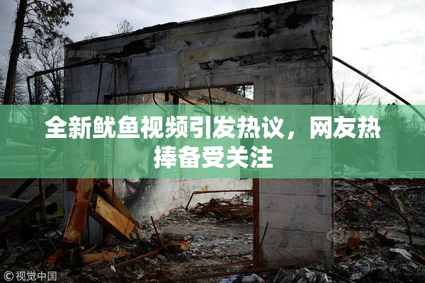 全新鱿鱼视频引发热议，网友热捧备受关注