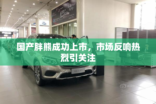 国产胖熊成功上市，市场反响热烈引关注