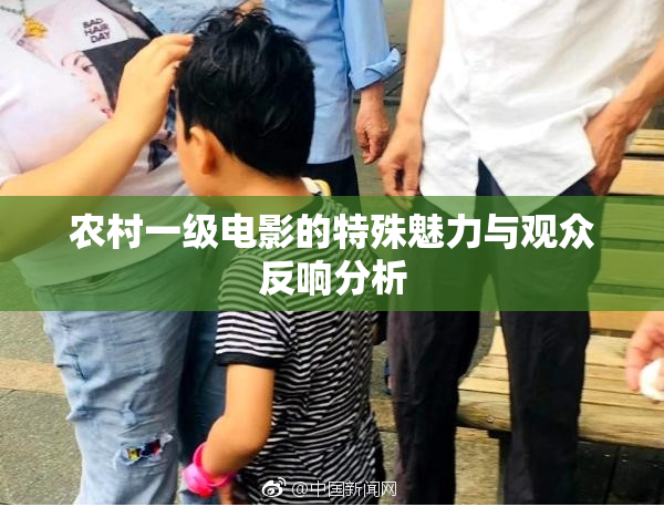 农村一级电影的特殊魅力与观众反响分析