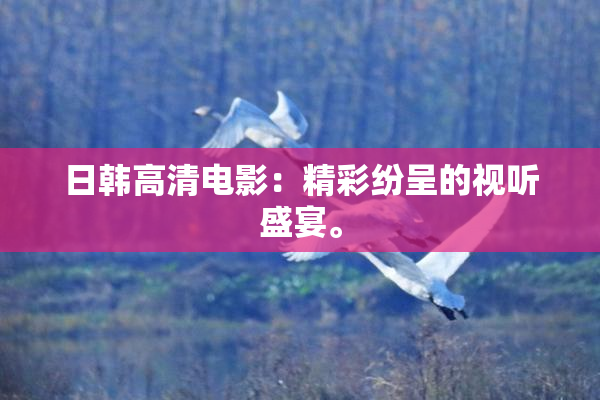 日韩高清电影：精彩纷呈的视听盛宴。