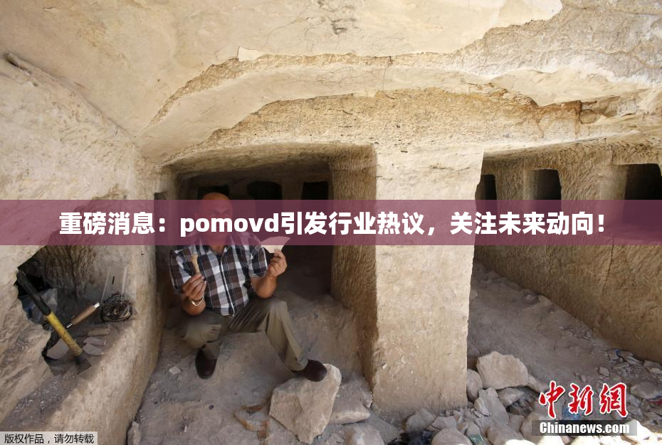 重磅消息：pomovd引发行业热议，关注未来动向！