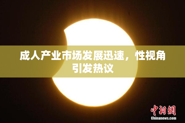 成人产业市场发展迅速，性视角引发热议