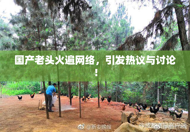 国产老头火遍网络，引发热议与讨论！