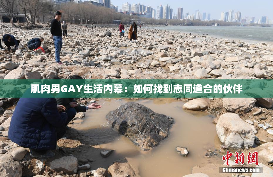 肌肉男GAY生活内幕：如何找到志同道合的伙伴
