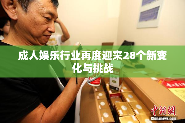 成人娱乐行业再度迎来28个新变化与挑战