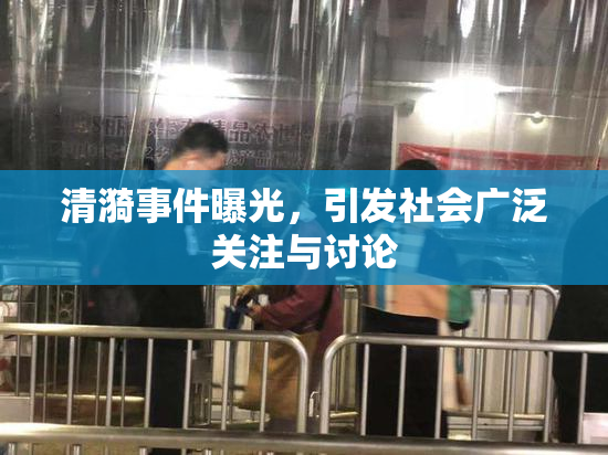 清漪事件曝光，引发社会广泛关注与讨论