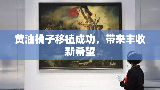 黄油桃子移植成功，带来丰收新希望