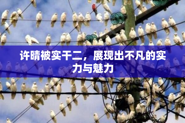 许晴被实干二，展现出不凡的实力与魅力