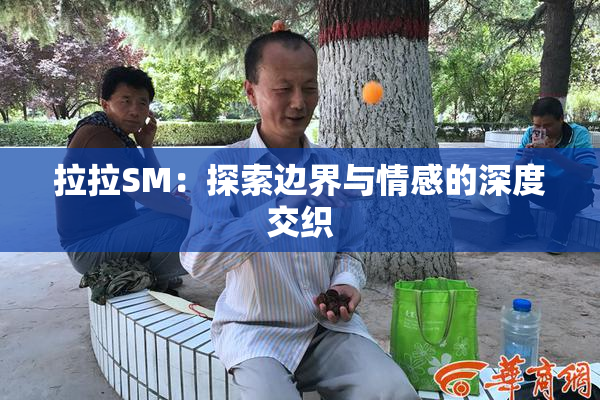 拉拉SM：探索边界与情感的深度交织