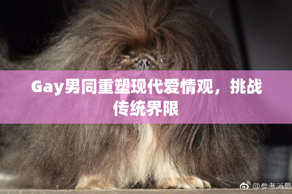 Gay男同重塑现代爱情观，挑战传统界限
