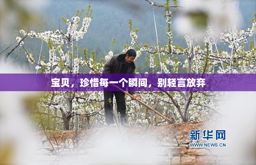 宝贝，珍惜每一个瞬间，别轻言放弃