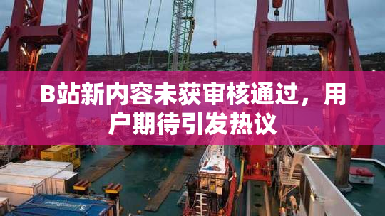 B站新内容未获审核通过，用户期待引发热议
