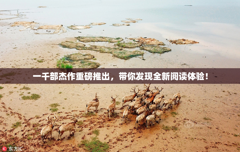 一千部杰作重磅推出，带你发现全新阅读体验！