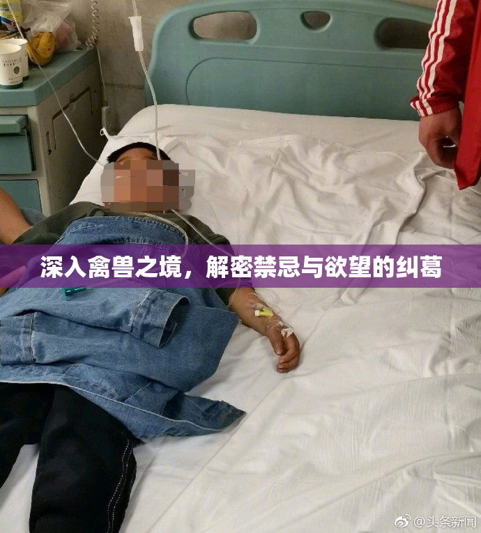 深入禽兽之境，解密禁忌与欲望的纠葛