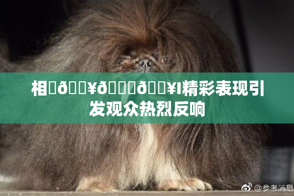 相沢🔥🍑🔥I精彩表现引发观众热烈反响