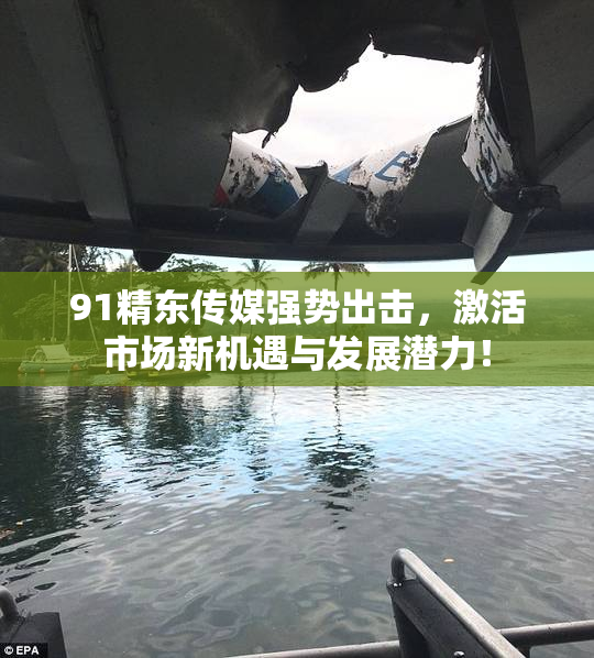 91精东传媒强势出击，激活市场新机遇与发展潜力！